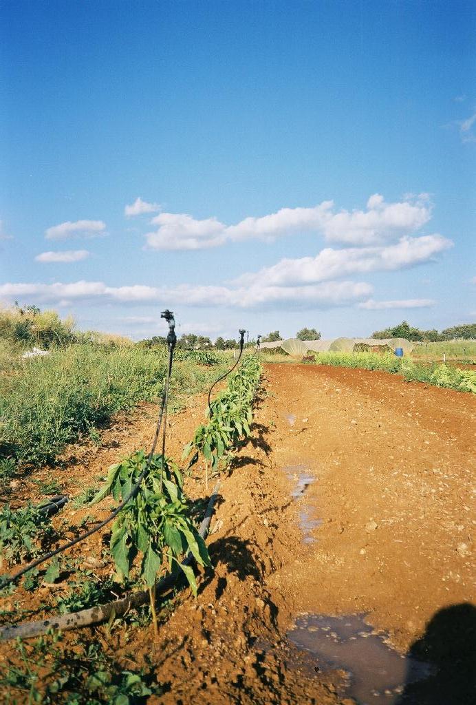 Bild: Quinta da Ana Velha