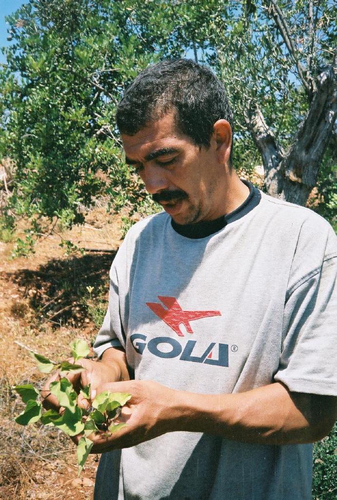 Norberto Santos Coelho